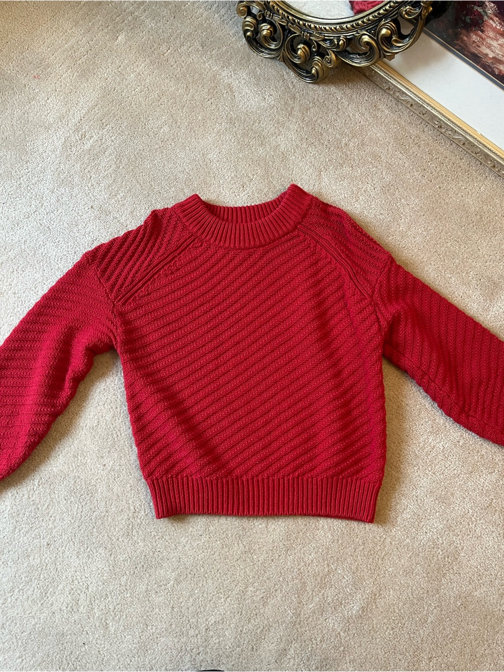 Universal Thread Red Ribbed Crewneck Sweater
